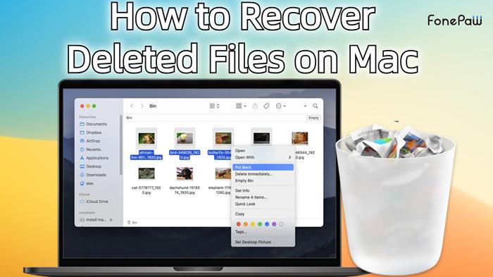 Recover Deleted Files Mac