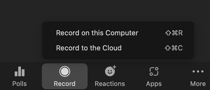 Zoom Record Button