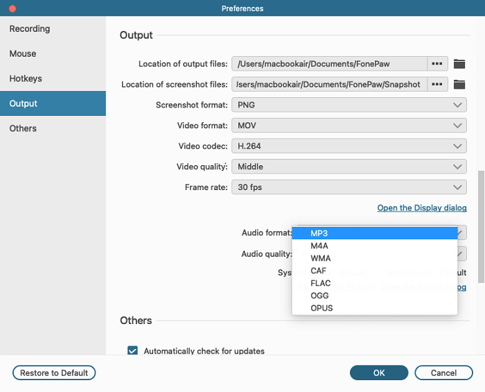 Audio Output Format