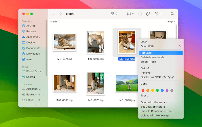 Recover Deleted Photos on Mac from Trash
