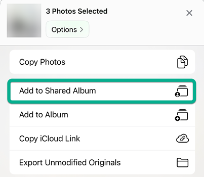 Tap Add to Shared Album